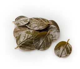Cypriot Caper Leaves 250g